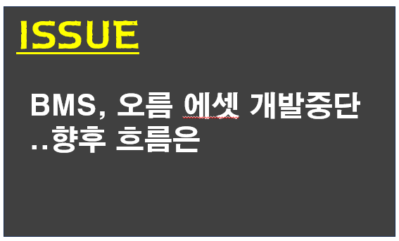 BMS, 오름 에셋 개발중단..어떻게 봐야 하나
